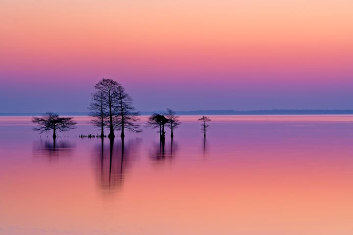 Quiet waters and expansive landscape at Lake Mattamuskeet