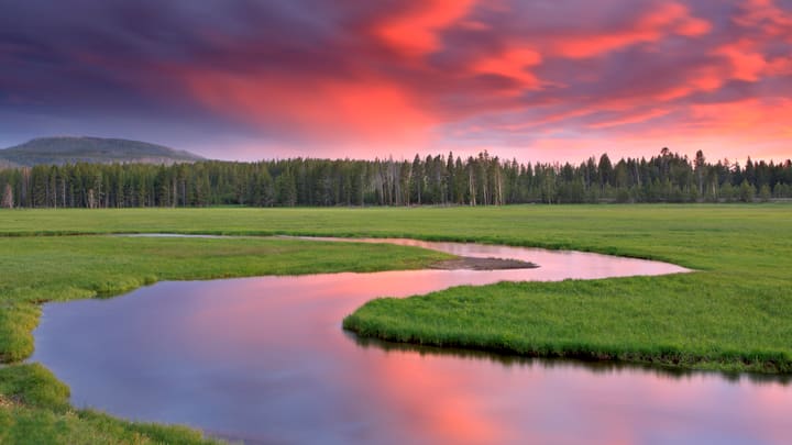 Gibbon River flowing through a natural landscape